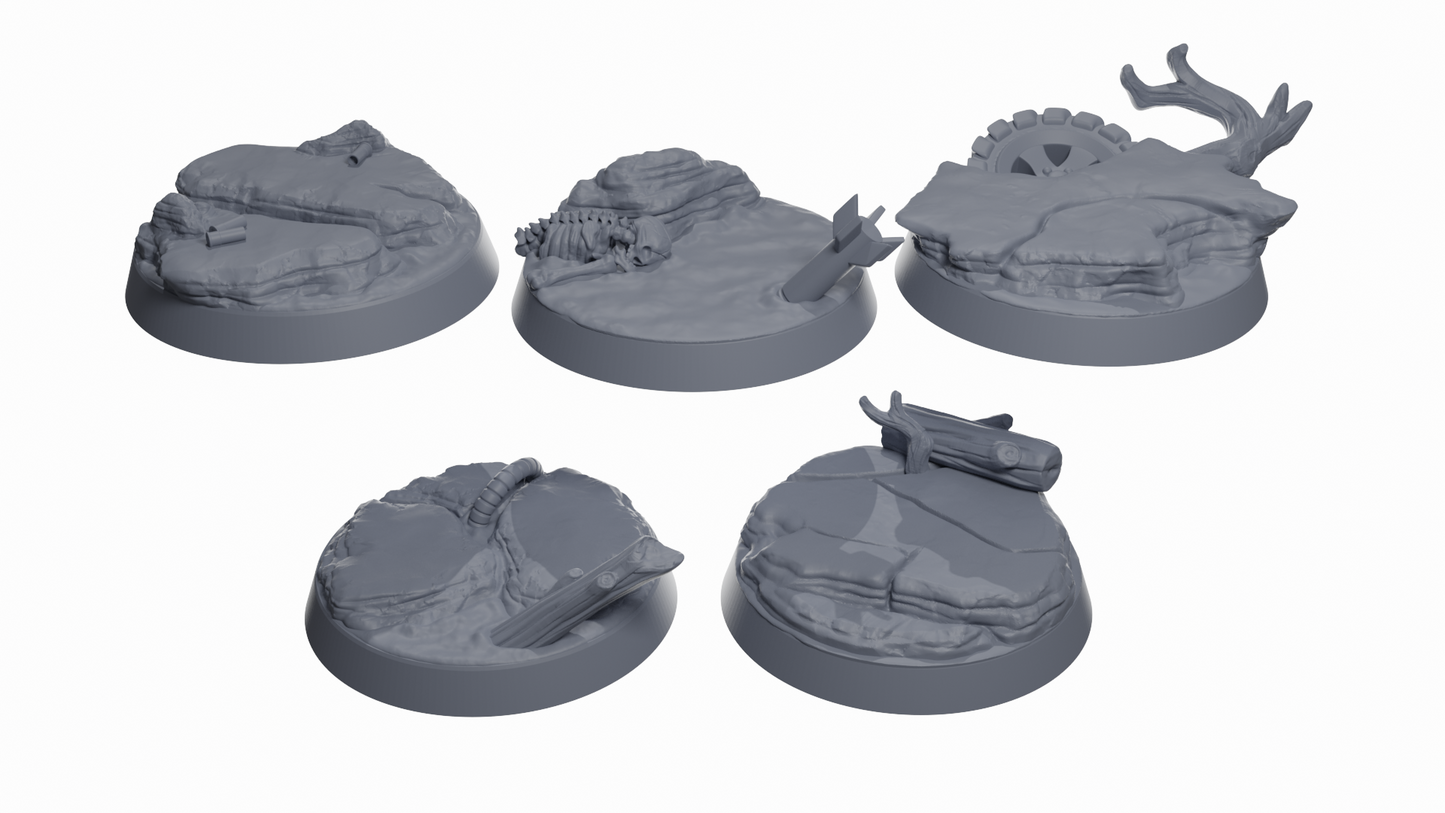 Space Bear Scenic Bases