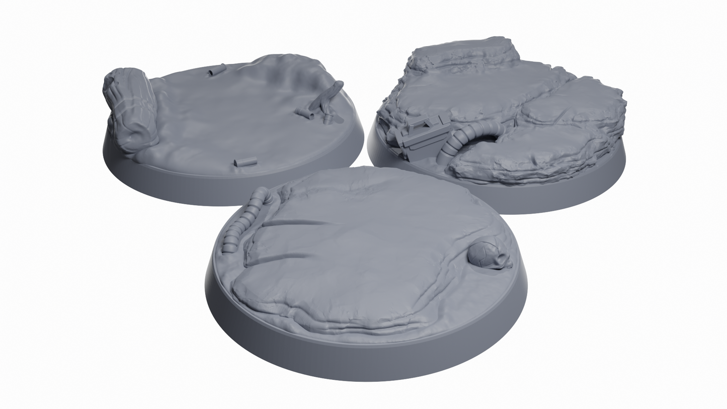 Space Bear Scenic Bases