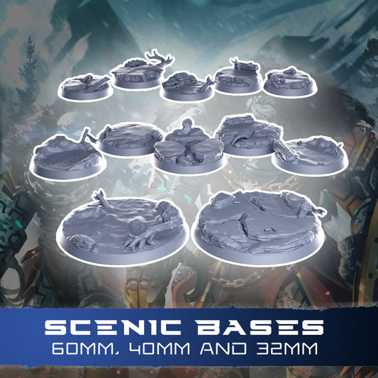 Space Bear Scenic Bases
