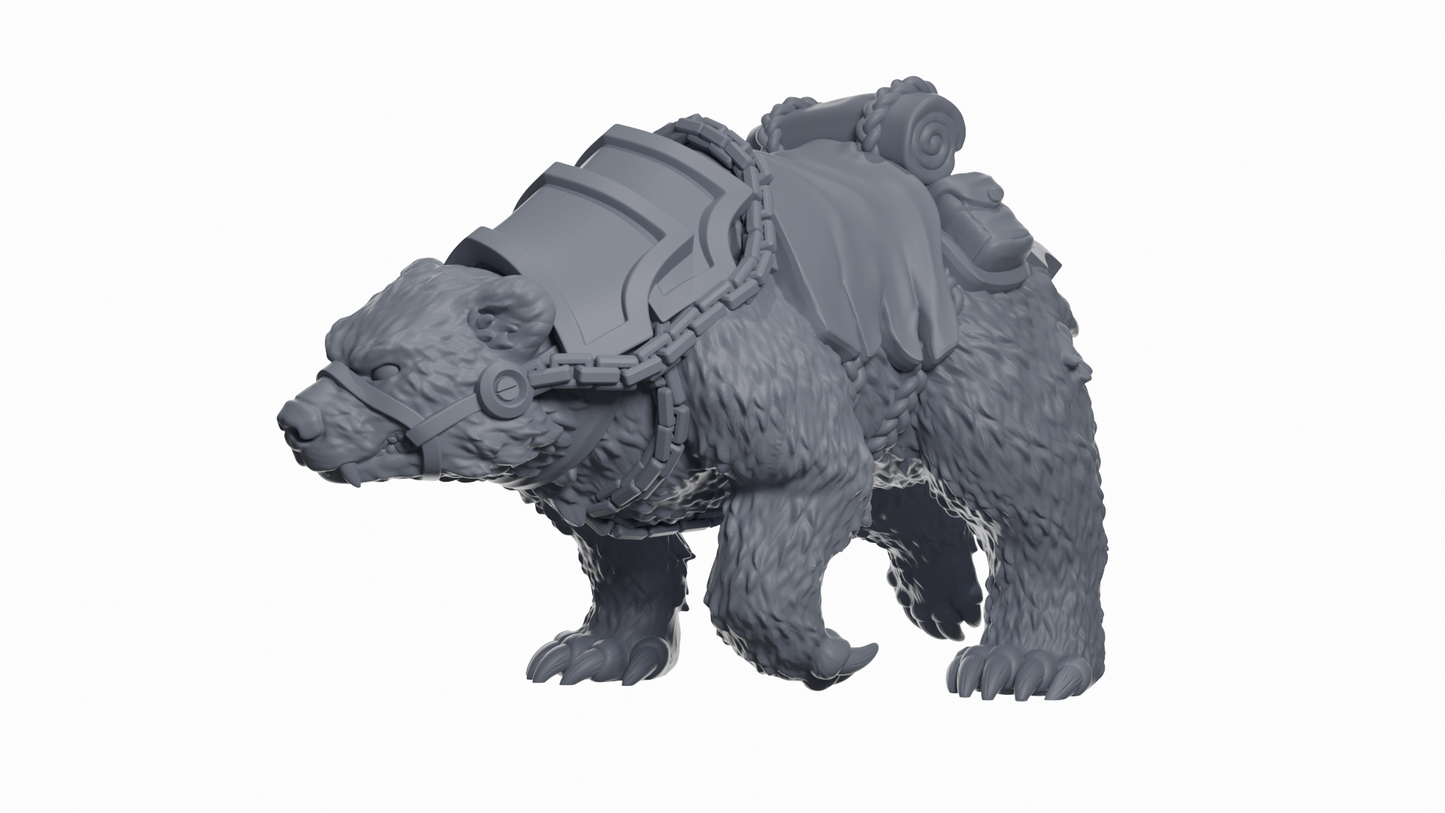 Space Bear Bear Cavalry