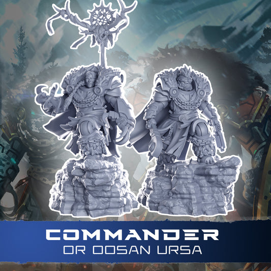 Space Bear Commander